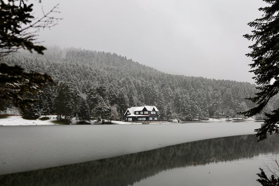 A serene winter landscape of a snow-covered forest and cottage by the lake in Bolu, Turkey.