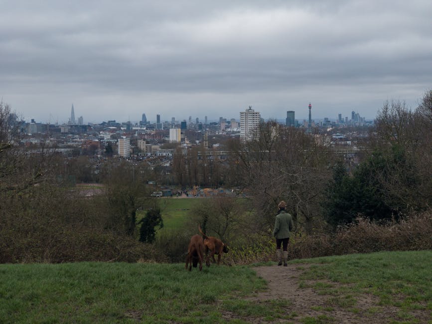 Dog-Friendly Days Out Near London: 10 Escapes in 2 Hours