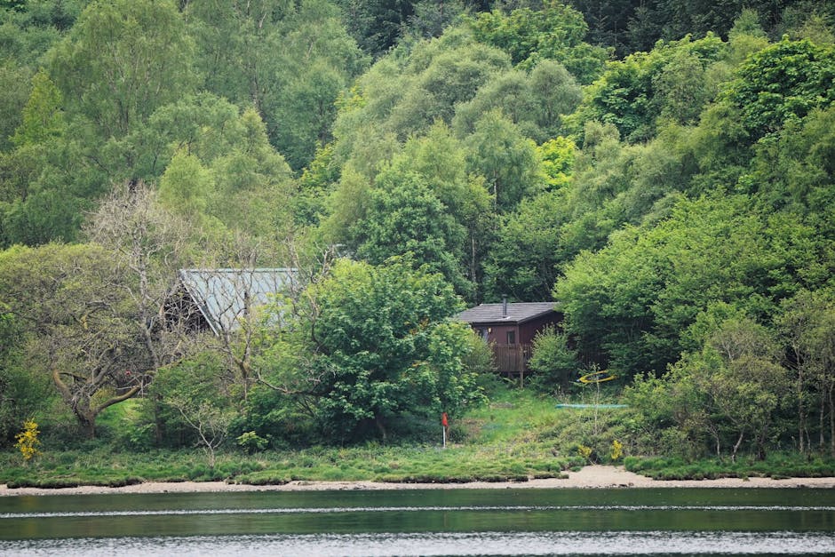 Dog at a lakeside holiday lodge in the UK countryside - typical Hoseasons pet-friendly stay