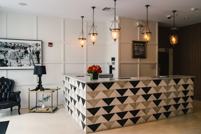 Modern hotel reception area welcoming a dog at check-in