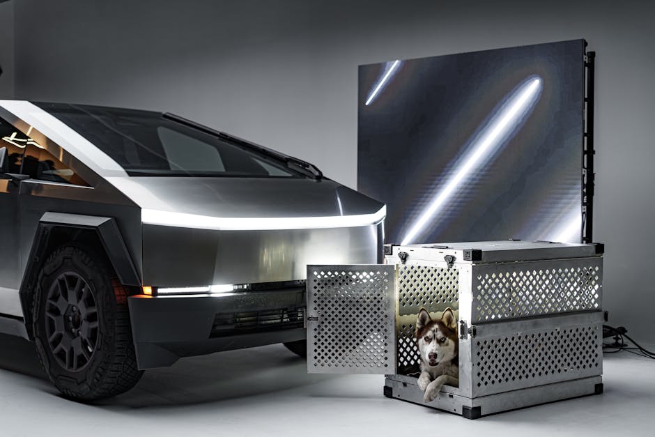 Best Dog Crate UK 2026: 5 Top Picks for Travel & Home