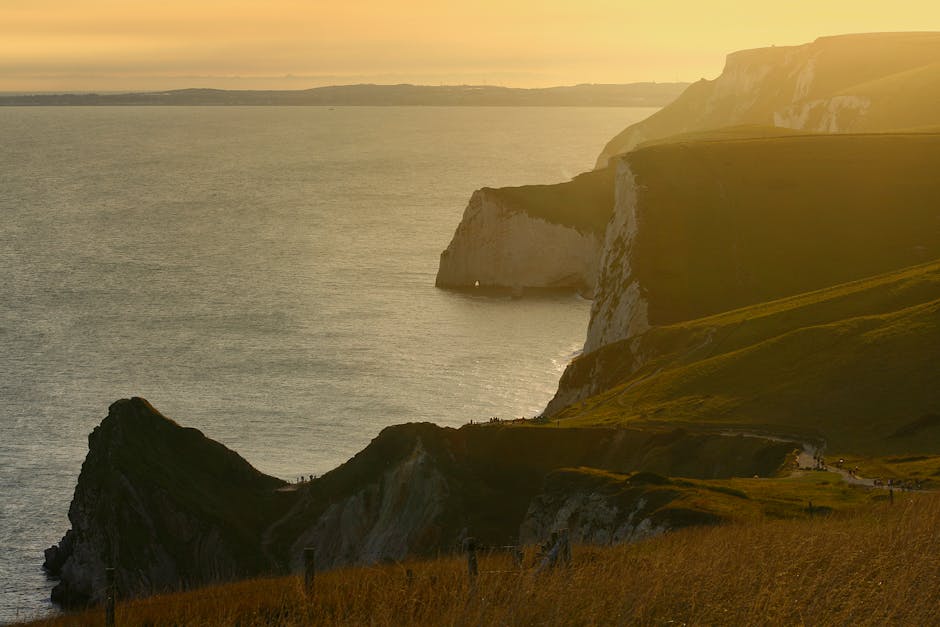 Dog-Friendly Dorset: Beaches, Walks, Pubs & Stays
