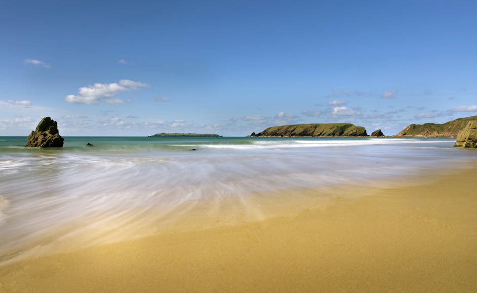 Dog-Friendly Pembrokeshire: A Complete Guide for 2026