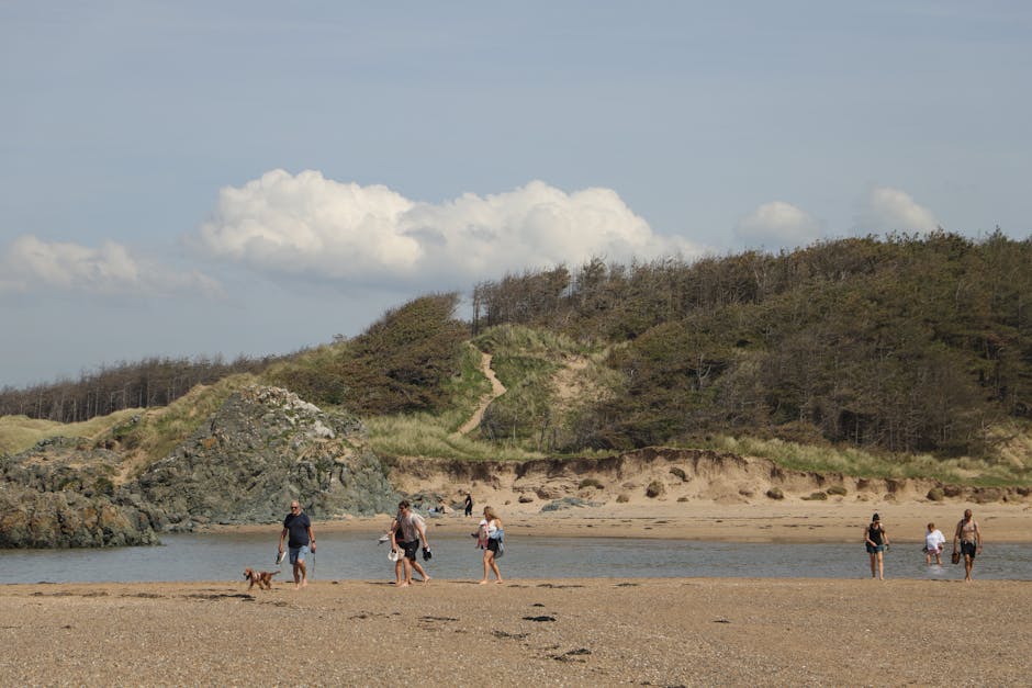 Dog-Friendly Summer Holidays UK: 12 Ideas for 2026