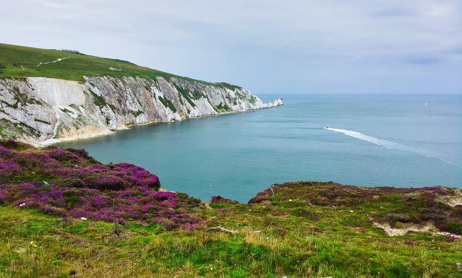 Dog-Friendly Isle of Wight: Ferries, Beaches & Walks