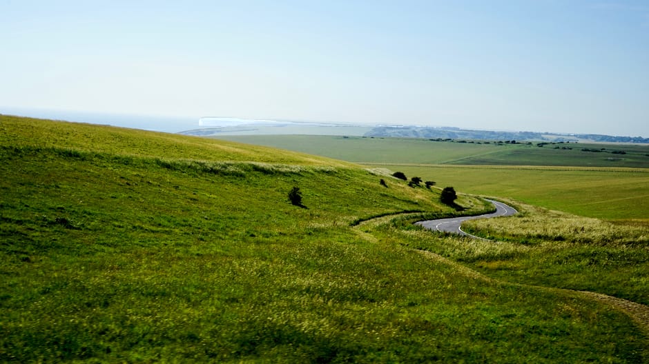 Dog-Friendly Sussex: The Complete Guide for 2026