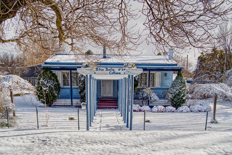 Dog-Friendly Christmas Breaks UK 2026: 10 Best Picks