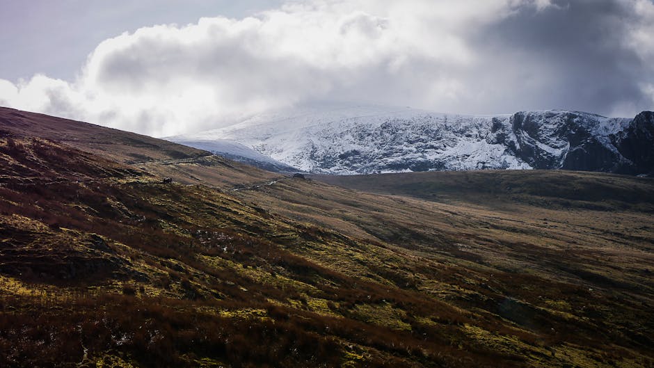 Dog-Friendly Snowdonia: Walks, Beaches & Stays