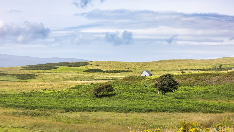 Pet-Friendly Cottages Scottish Highlands: 2026 Guide
