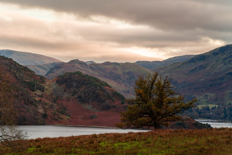 Tranquil autumn landscape of Lake District with a lone tree and moody sky.